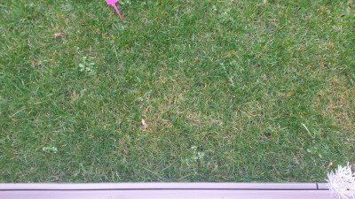 20160205_155920_resized_1.jpg