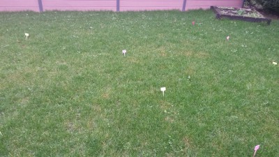 20160205_155924_resized_1.jpg