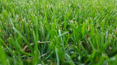 20180616_200149.jpg