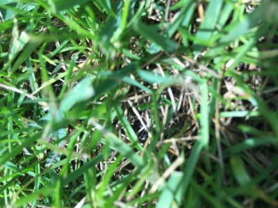 D21725C6-F0EA-4A74-A0BB-3C9536390021.jpeg