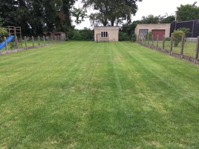 1 jour apres application Algifol green et protecto