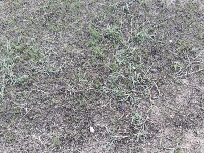 20180614_195923.jpg