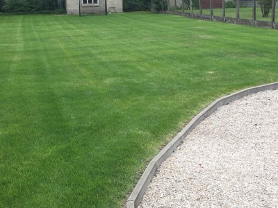 Photos 2 jours après l'application de l'Algifol Green + Protector
