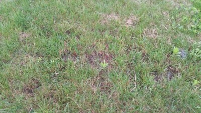 20180618_070326.jpg