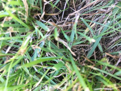 DE7E055E-D846-48C0-A533-BEE51039BF97.jpeg