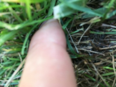 BEE41624-316B-46AC-B73E-18E720BD58FC.jpeg