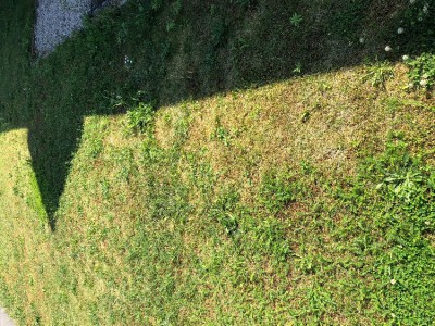 IMG_1598.JPG