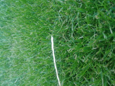 20180620_211126.jpg