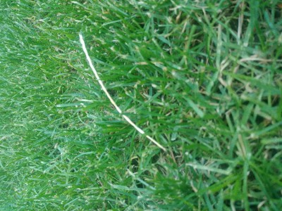 20180620_211143.jpg