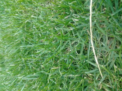 20180620_211209.jpg