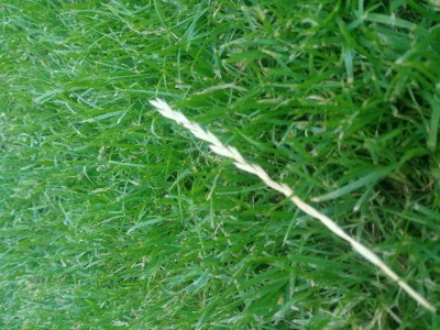 20180620_211134.jpg