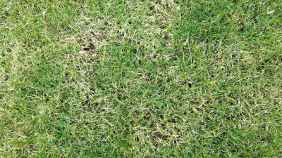 20180621_130532.jpg