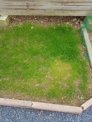 20180606_182815_resized.jpg