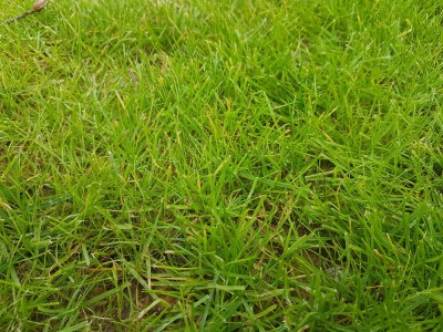 20180621_170249_resized.jpg