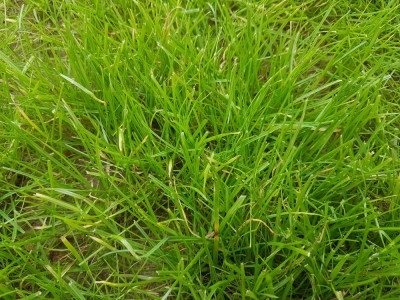 20180621_170256_resized.jpg