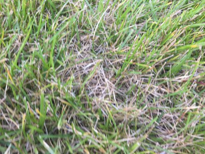 IMG_0108.JPG