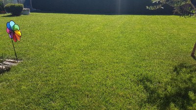 20180623_111148.jpg