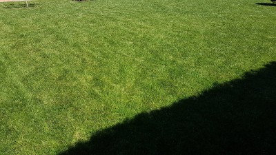 20180623_111238.jpg