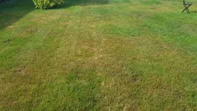 20180624_103121_resized.jpg