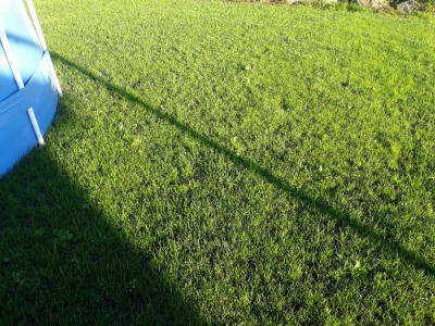 20180625_203124.jpg