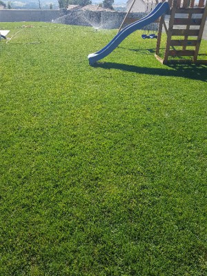 20180628_095357.jpg