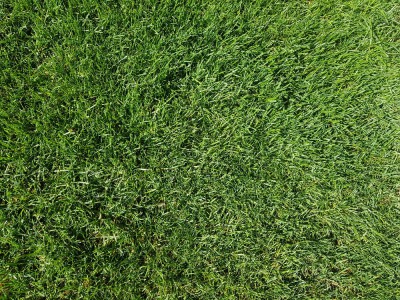 20180628_095307.jpg