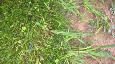 WP_20180701_10_07_57_Pro.jpg