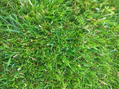 IMG_20180704_211833.jpg